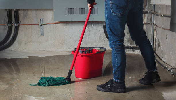 Best Carpet water damage restoration  in Hewlett, NY