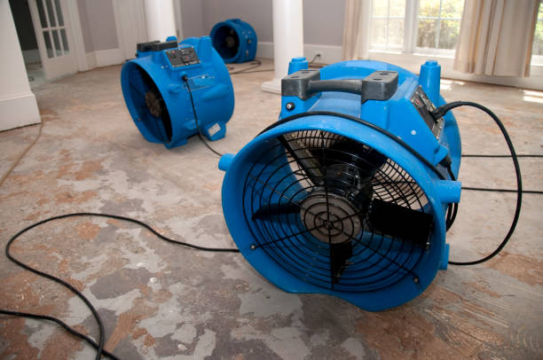Reliable Hewlett, NY Water damage restoration Solutions
