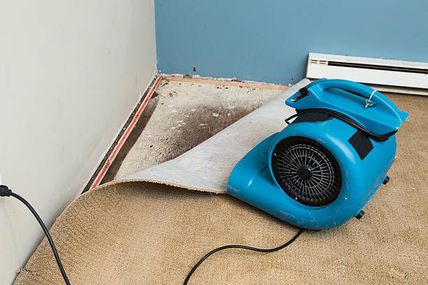 Best Water damage mitigation services  in Hewlett, NY